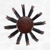 Unique Bargains Nylon Bristle Round Curling Hair Ruled Comb Brown - 3 of 4