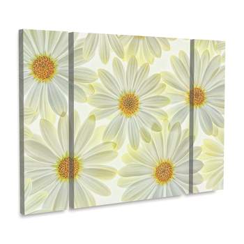 Trademark Fine Art -Cora Niele 'Daisy Flowers' Multi Panel Art Set Large 3 Piece