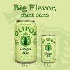 OLIPOP Mini's Ginger Ale Soda - 6pk/7.5 fl oz Cans - 4 of 4