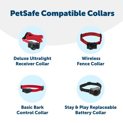 PetSafe 6V Black Lithium-ion Button Batteries - 2 Pack