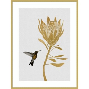 Amanti Art Hummingbird a Flower I by Orara Studio Wood Framed Wall Art Print - 1 of 4