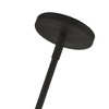 Livex Lighting Cityview 1 - Light Pendant in  Black/Brushed Nickel - 4 of 4