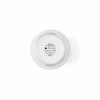 Royal Worcester Wrendale Designs Flower/ Herb Pot - Hedgehog, Made from Ceramic,  Dishwasher Safe, 3.9 in, Perfect for any kitchen - 4 of 4