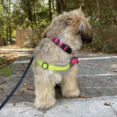 Backpack Dog Harness - S - Green - Boots & Barkley™ : Target