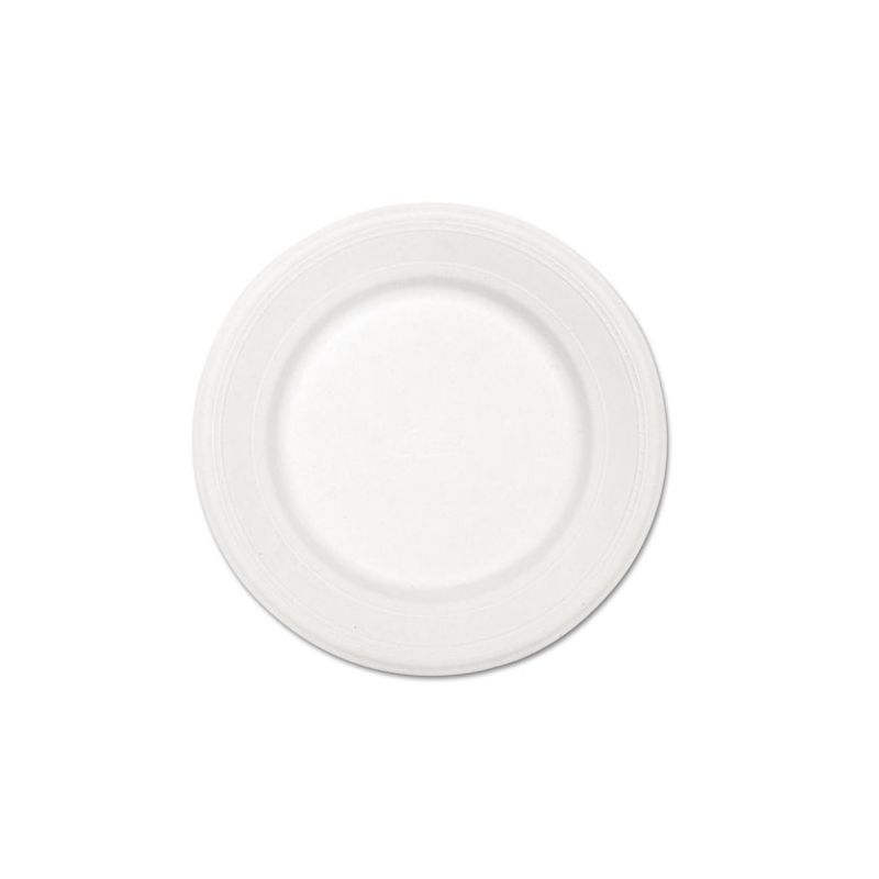 Chinet Paper Dinnerware, Plate, 10.5" dia, White, 500/Carton, 1 of 2