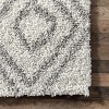 Nuloom Iola Trellis 8x10 Shag Area Rug for Living Room Bedroom Dining Room Nursery, White/Grey - 3 of 4