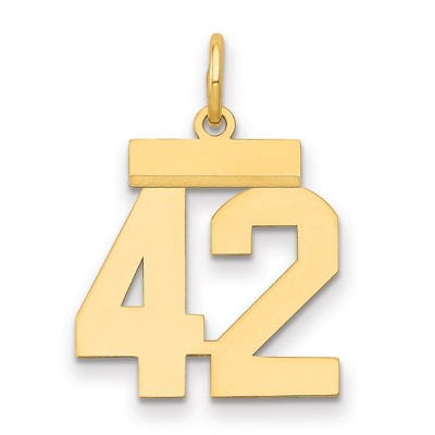 Black Bow Jewelry 14k Yellow Gold, Athletic Collection, Small Polished Number 42 Pendant