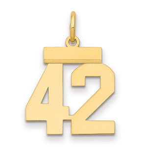 Black Bow Jewelry 14k Yellow Gold, Athletic Collection, Small Polished Number 42 Pendant - 1 of 3