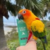 Hemp Well Calm Bird Blend - For Hormonal & Stressed Birds - 2 oz. - 4 of 4