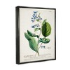 Stupell Industries Botanical Plant Illustration Blue Flowers Vintage Design - 3 of 4