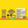 Nature's Blend Vitamin B12 100 mcg Tablets - 100 ct, Pack of 2 - image 2 of 3