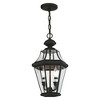 Livex Lighting Georgetown 2 - Light Pendant in  Black - 3 of 4