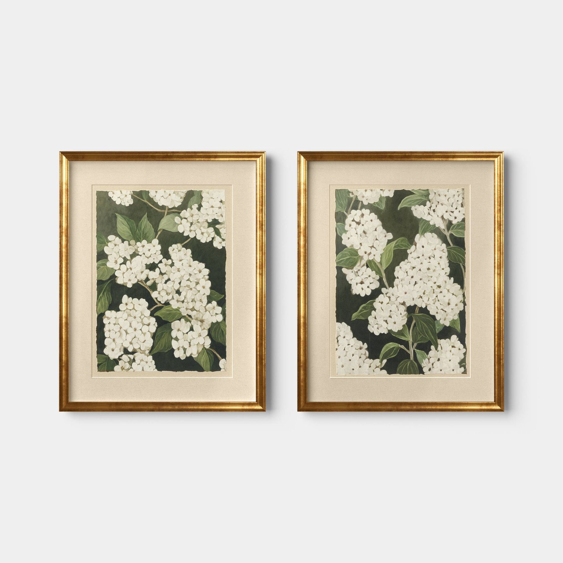 16"x20" Set of 2 Floral Framed Wall Art - Threshold™