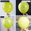 PartyWoo Balloons Lime Green 12 Inch 50 pcs - 2 of 4