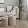 Lyngins Rustic Nesting Side Table Set of 3 – Stump-Style Wood Grain Round End Table for Living Room, Distressed Nightstand, Small Coffee Table - 3 of 4