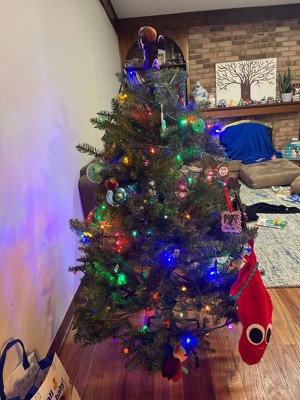 Guest review image 1 of 1, zoom in