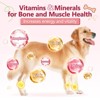 ZEBORA Dog Glucosamine – with chondroitin, MSM, hemp, turmeric, omega-3 & calcium; supports hip, joint, pain relief & skin health – 120 chews - 2 of 4