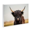 Stupell Industries Black Highland Cow Portrait, 19" x 13" - 3 of 4