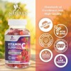 Zero Sugar Vitamin C Gummies - Immune Support & Antioxidant VitaminC Dietary Supplement - Vegan, Non-GMO, Dairy & Gluten Free C - 120 Gummies - 3 of 4