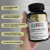 LIVS Raw Shilajit - 4 of 4