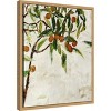 Amanti Art Kumquat Tree by Jodi Maas Canvas Wall Art Print Framed 16 x 20-in. - 2 of 4
