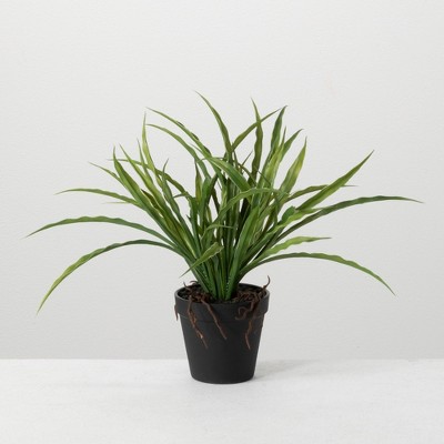 Sullivans Artificial Potted Yucca 14"H Green