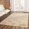 Florenteen FLR128 Power Loomed Indoor Rugs - Safavieh - 2 of 4