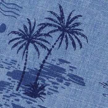 pale blue and navy