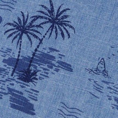 pale blue and navy