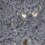 slate gold