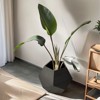 FURNIinspire Shaped Modern Pet Furniture Cat Carrier Side Table MDF Multi-Purpose Furniture - 3 of 4