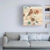 Trademark Fine Art -Lisa Audit 'Spiced Nature II' Canvas Art - 2 of 4