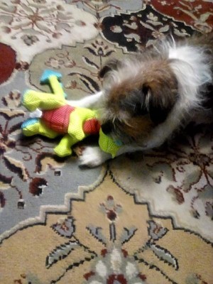 Guest review image 2 of 2, zoom in