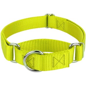 Country Brook Design Martingale Heavyduty Nylon Dog Collar - 1 of 4