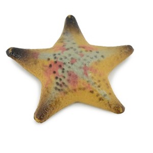 Collectible Wildlife Gifts | Starfish, Sea Star, echinoderms,  Edmond's, Ocean, Sea Life, Plastic ,  Animal, Life Like, Gift,  2 1/4"   F926 B158 - 1 of 4
