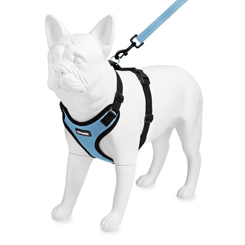 Voyager Step-In Lock Adjustable Dog & Cat Harness and 5ft Leash Combo, 4 of 7