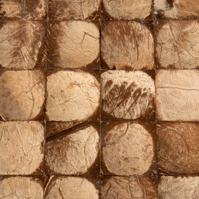 Natural Brown Coconut Shell Mosaic Round End Table
