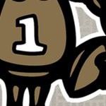 new orleans saints
