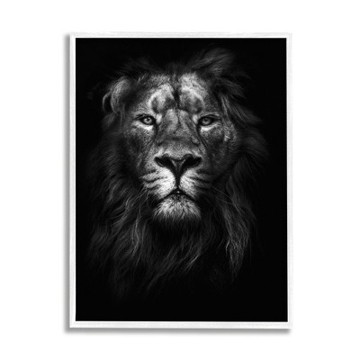 Stupell Industries King of the Jungle Lion In Shadows Black and White Photography