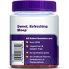 Natrol Kids' Sleep + Immune Health Sleep Aid Gummies - Berry - 50ct - image 2 of 4