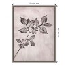 Amanti Art Elm 1 Brown by Pernille Folcarelli Canvas Wall Art Print Framed 18 x 24-in. - 3 of 4
