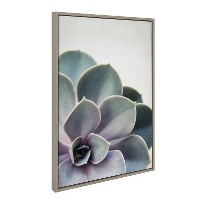 Gray and Green Succulent Framed Canvas Print, 23" x 33"