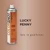 Colorshot Spray Paint Metallic Lucky Penny 9oz 4pk Value Set Copper: Acrylic Paint & Primer for Metal & Plastic, Fast Drying - 3 of 4
