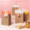 20ct Shelved Banded Tissue Coral - Spritz™: Multicolor Gift Packaging Accessories, Solid Pattern, 15.5" x 24" - 2 of 3