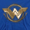 Boys’ Wonder Woman Movie Lasso Logo Hooded Sweatshirt - 2 of 4