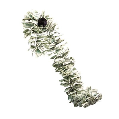 Rubies Adult Money Boa