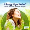 Euphrasia Officinalis 6C by Boiron Homeopathic Single Medicine For Allergy  -  80 Pellet - 3 of 4