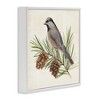 Stupell Industries Bird on Pine Tree, 12" x 12" - 3 of 4