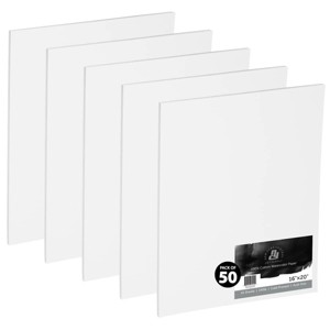 New York Central Watercolor Paper Sheets, 16x20 Inch, 140lb Cold Press, Pack of 50 - Professional Grade, Acid-Free, Archival - For Wet and Dry Media - 1 of 4