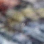 navy, peach, coral, blue, camel, ivory, light blue, olive, sage, brick red, light green